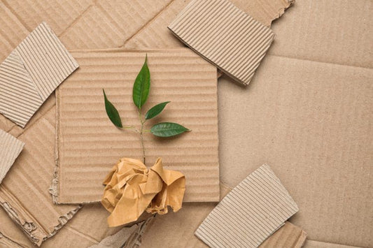 Sustainable Packaging. SPC Course Takes a Look At it’s Role. Valdamarkdirect.com